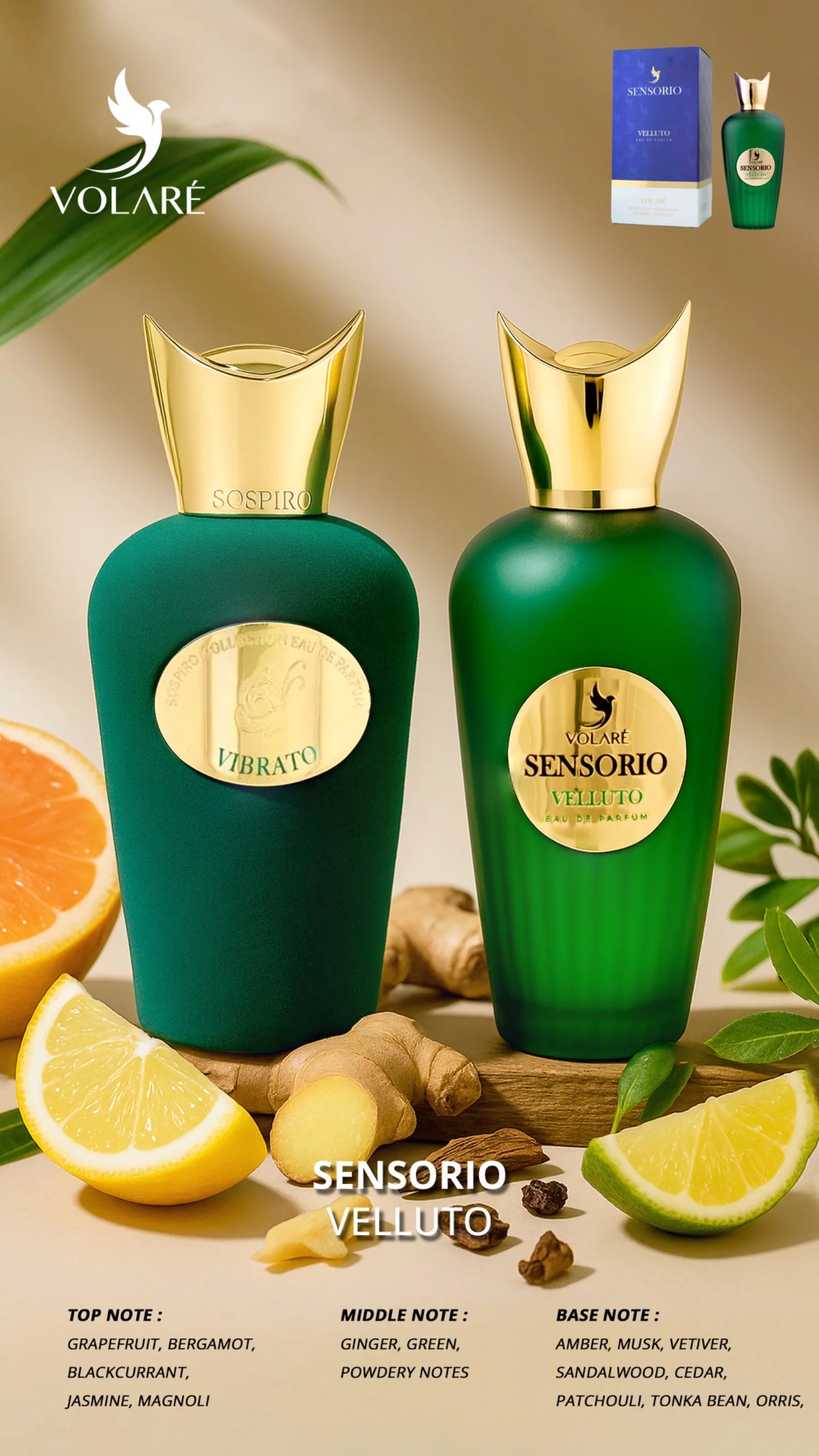 Sensorio Velluto EDP Perfume By Volare