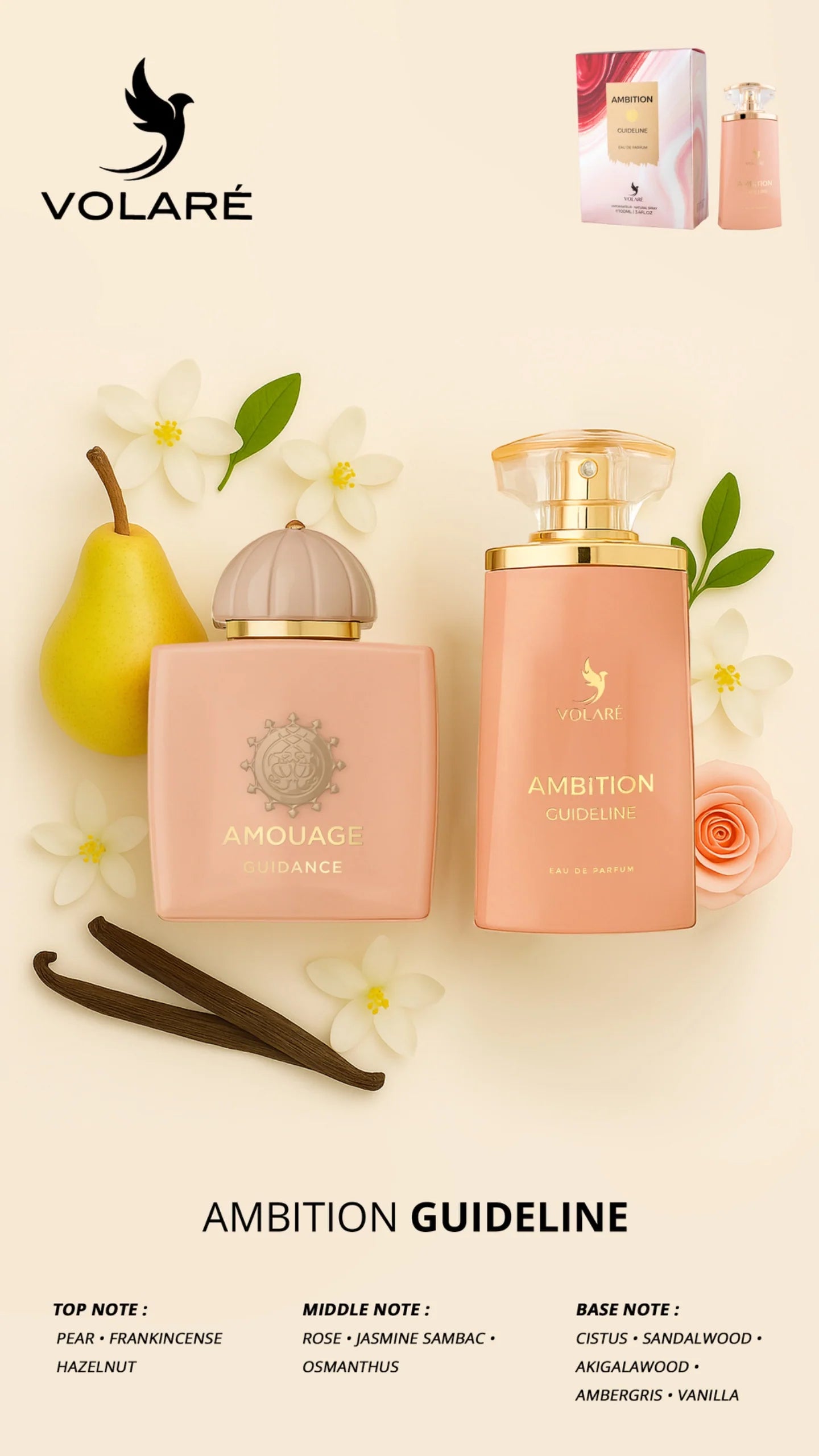 Ambition Guideline EDP Perfume By Volare