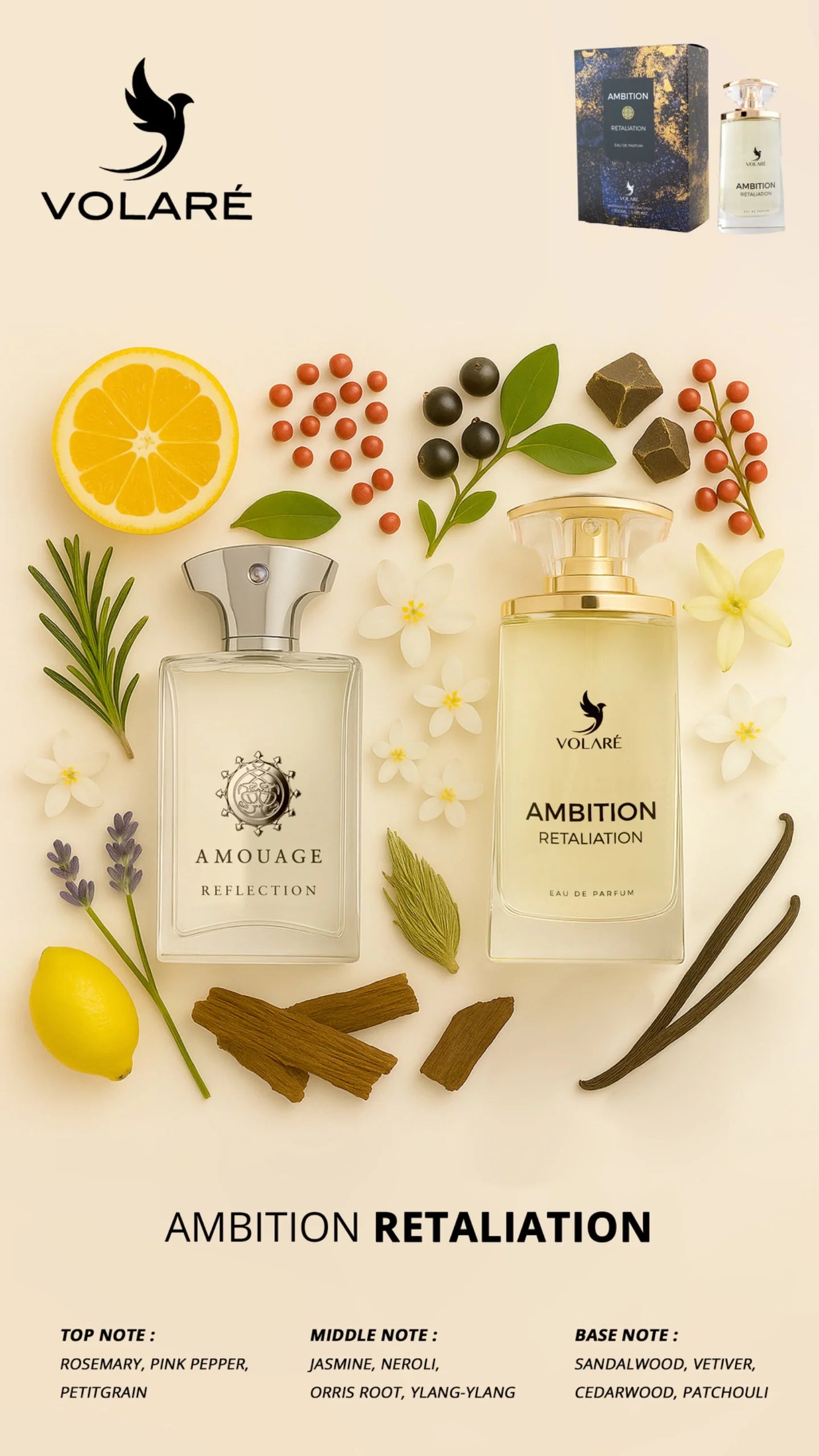 Ambition Retaliation EDP Perfume By Volare