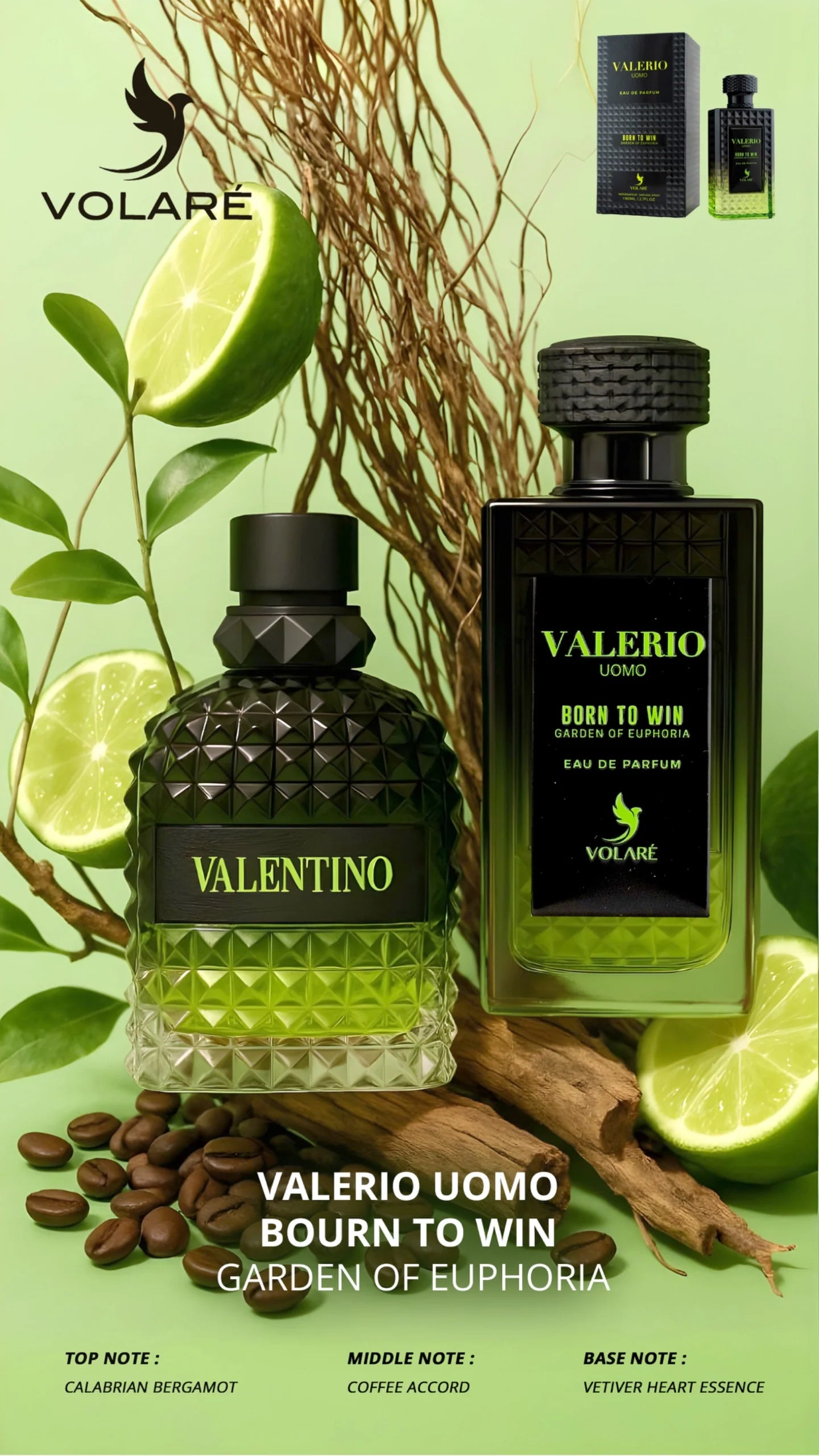 Valerio Uomo Born To Win EDP Perfume By Volare