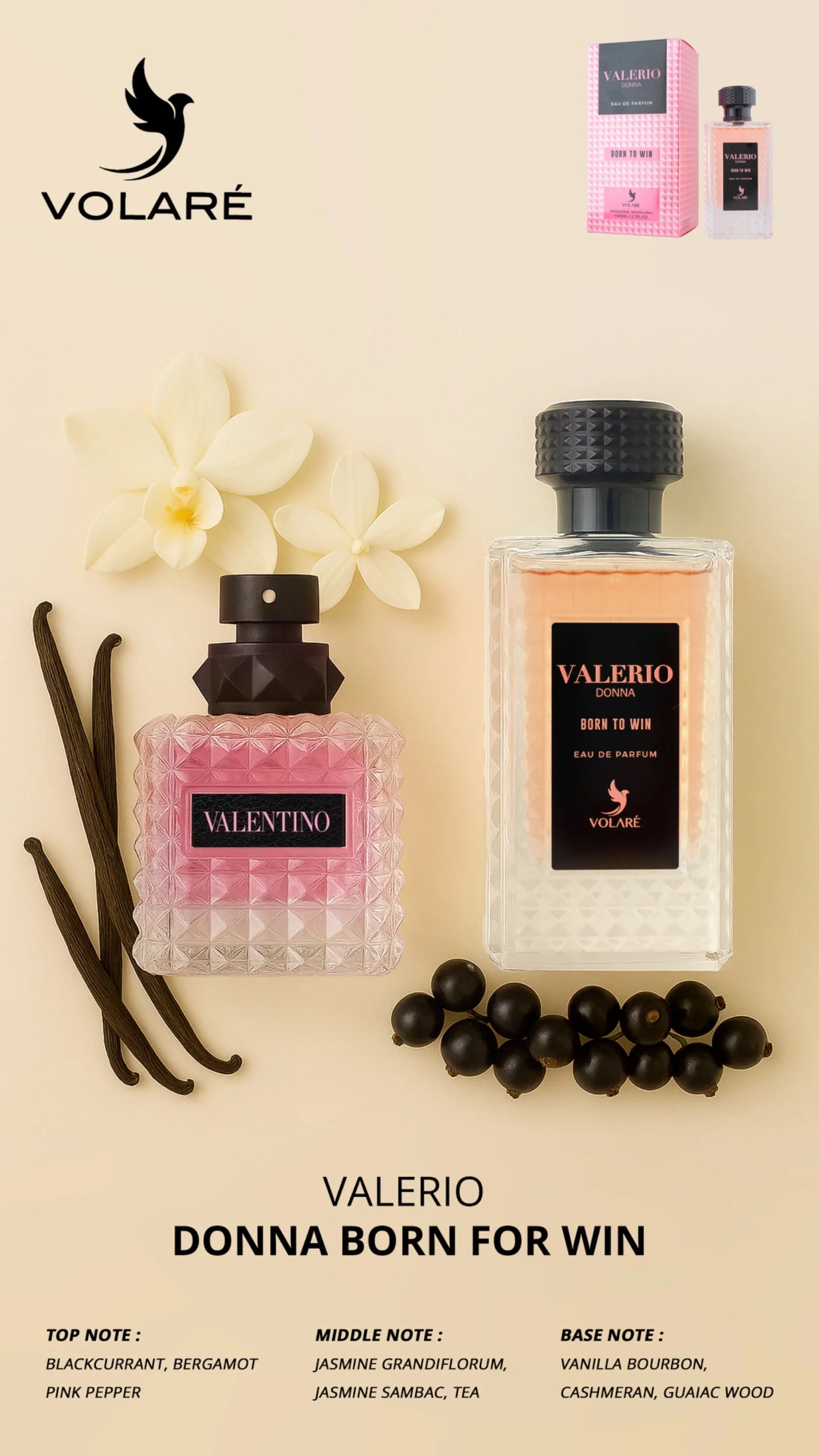 Valerio Donna Born To Win EDP Perfume By Volare